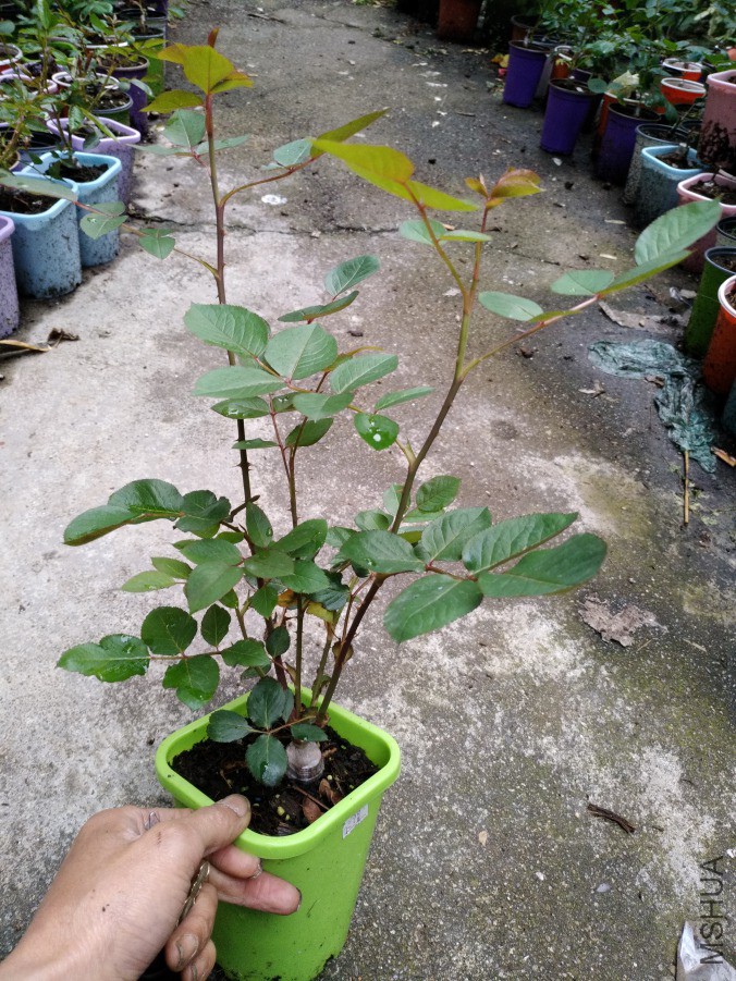 P90411-181858.jpg