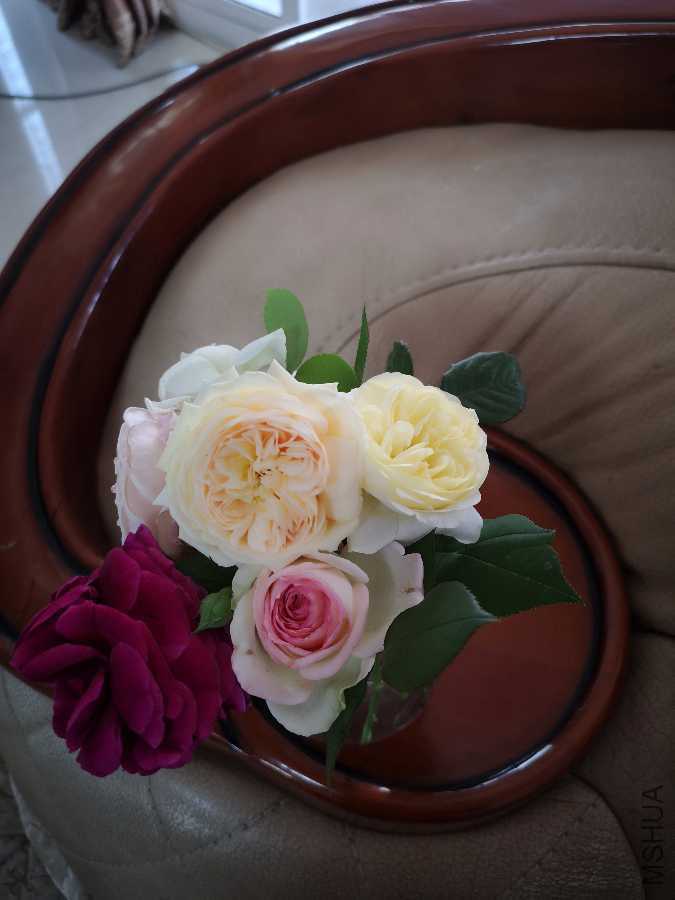 IMG_20190417_124952.jpg