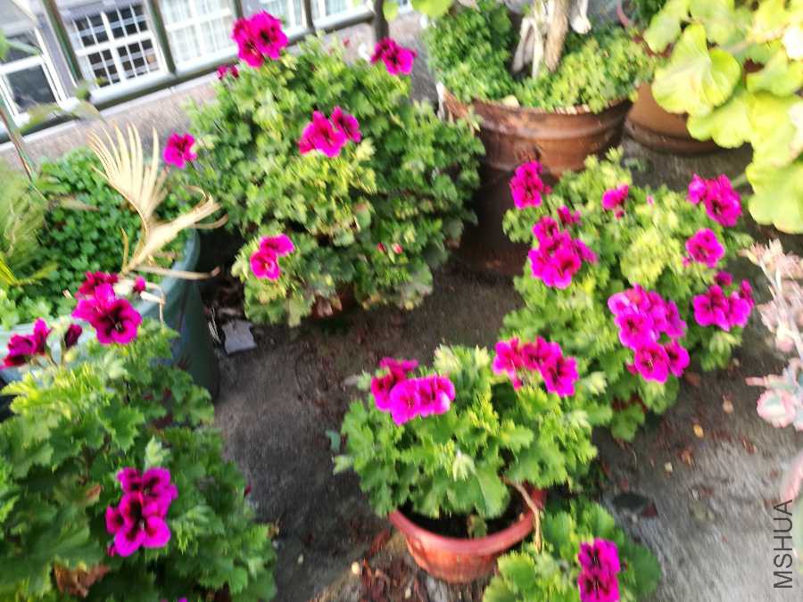 IMG_20190419_172609.jpg
