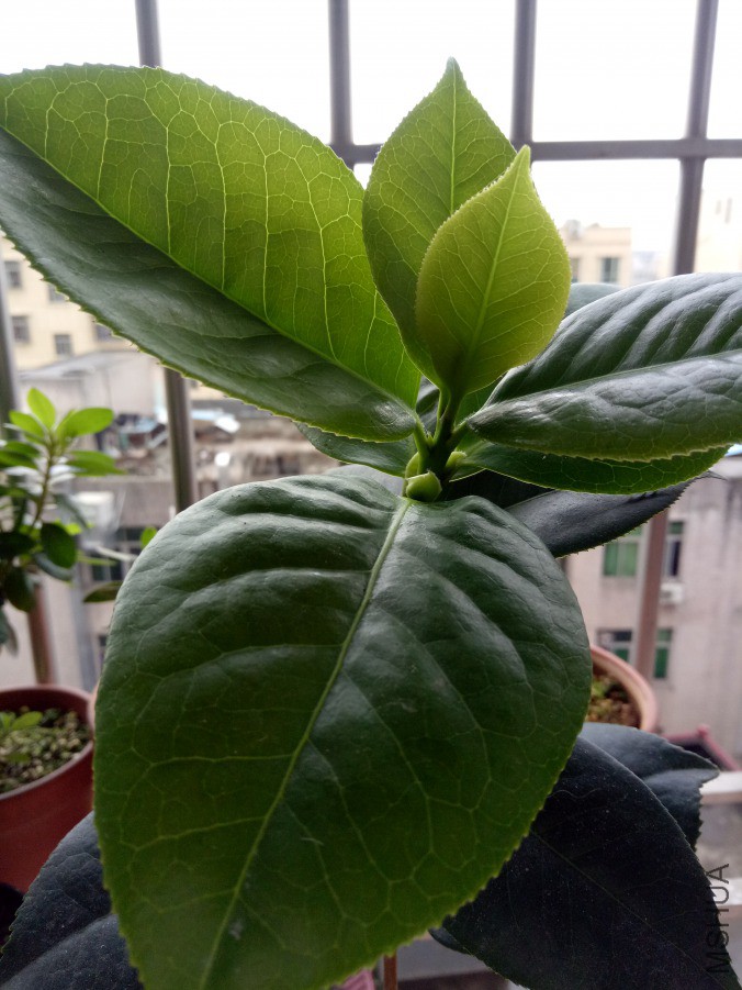 IMG20190420094257.jpg