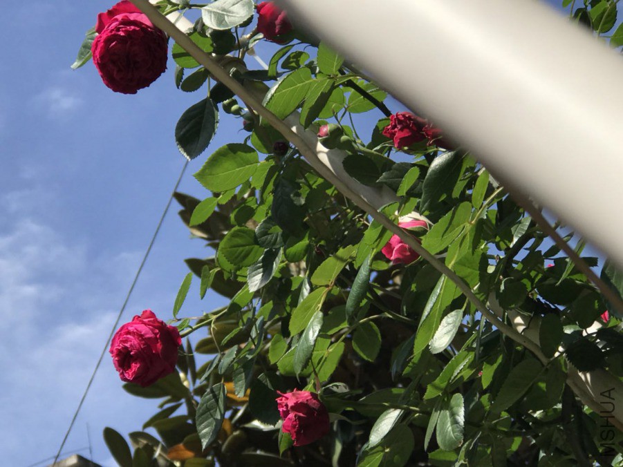 ΢��ͼƬ_2019042020354815.jpg