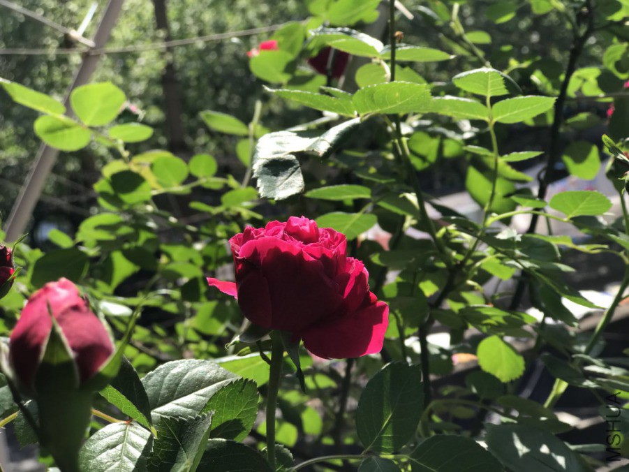 ΢��ͼƬ_2019042020354812.jpg