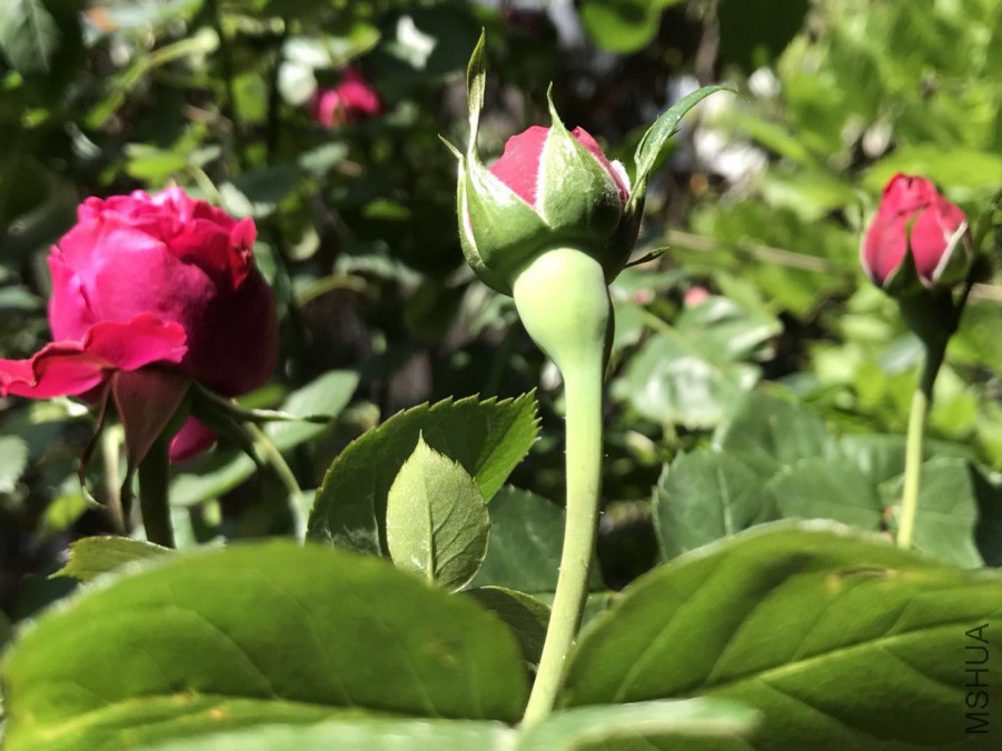 ΢��ͼƬ_2019042020354810.jpg