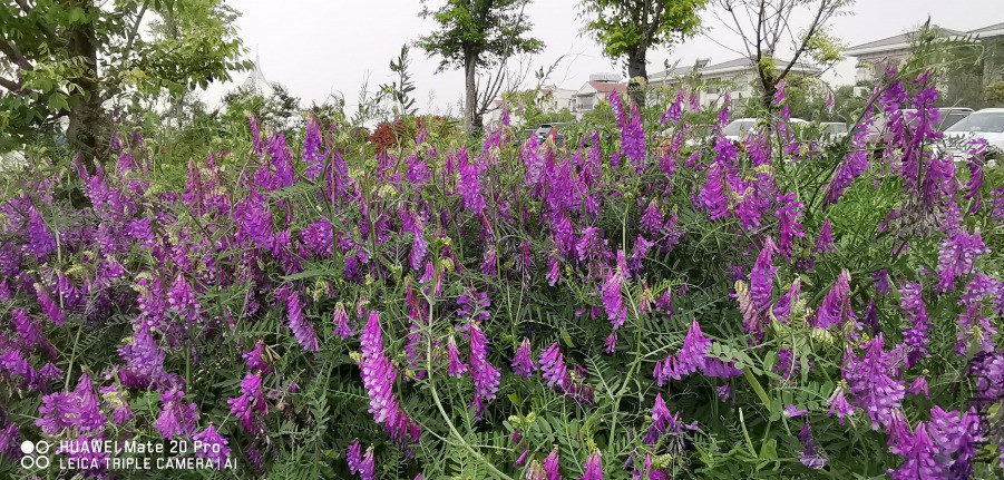 IMG_20190420_145830.jpg