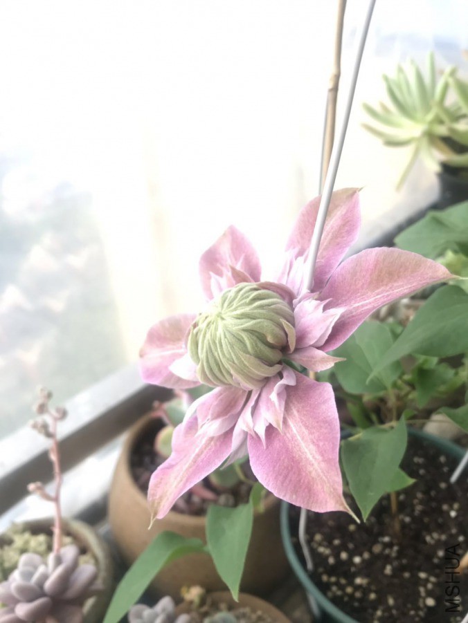 ΢��ͼƬ_20190421102001.jpg