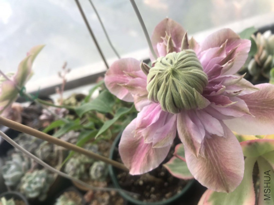 ΢��ͼƬ_20190421101957.jpg