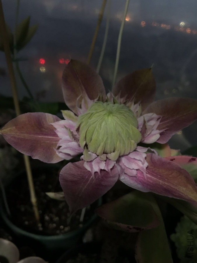 ΢��ͼƬ_20190421102008.jpg