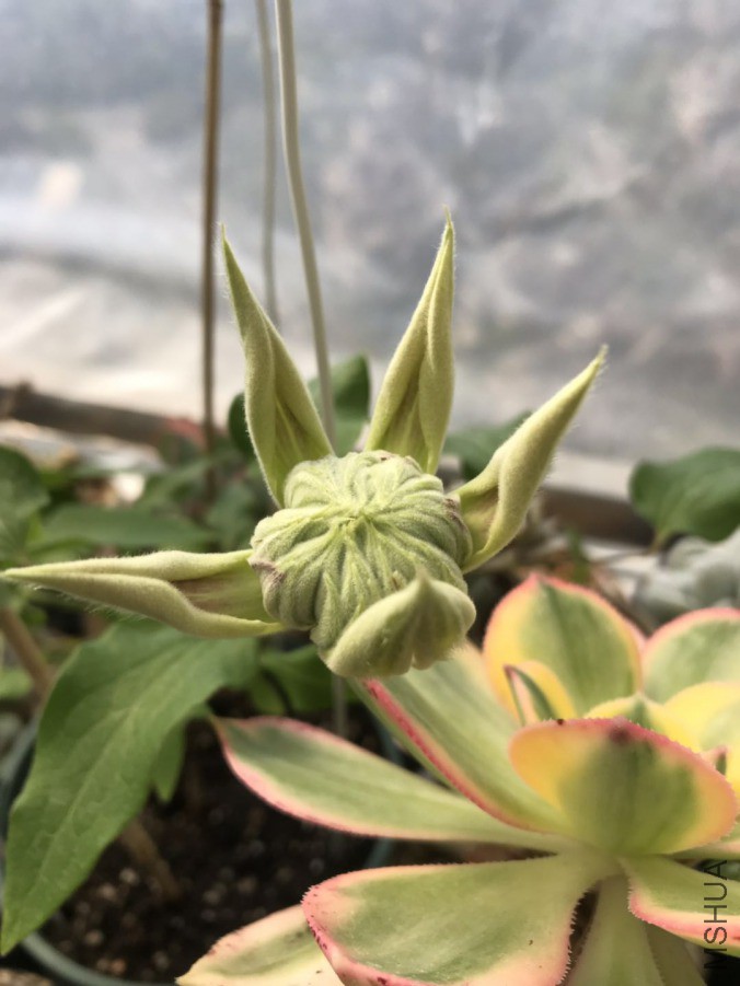 ΢��ͼƬ_20190421102016.jpg