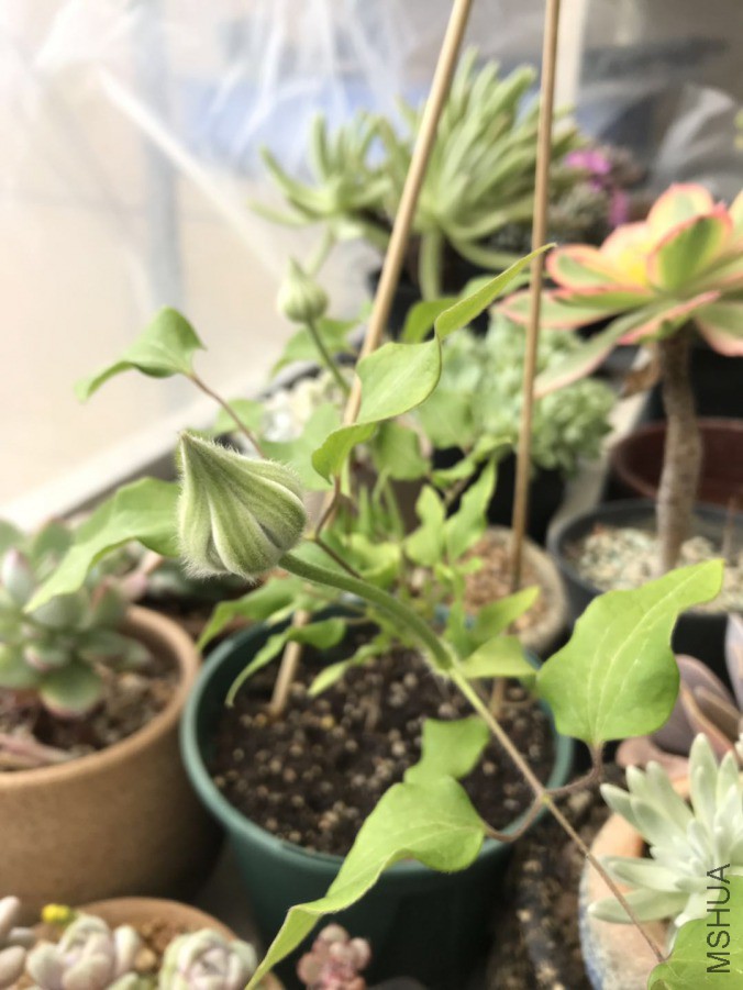΢��ͼƬ_20190421102021.jpg