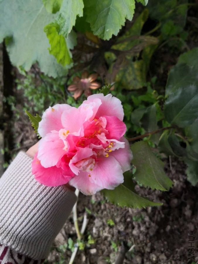 ΢��ͼƬ_20190421105720.jpg