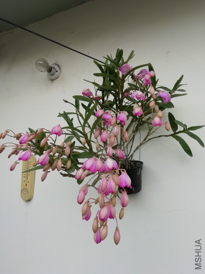 IMG_20190416_172711.jpg