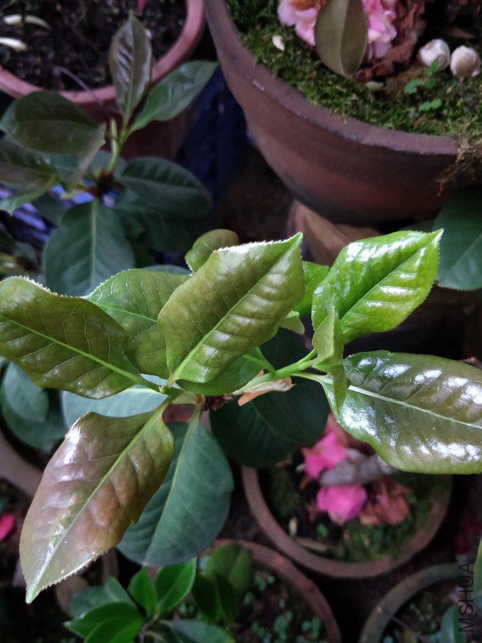 IMG20190421174921.jpg