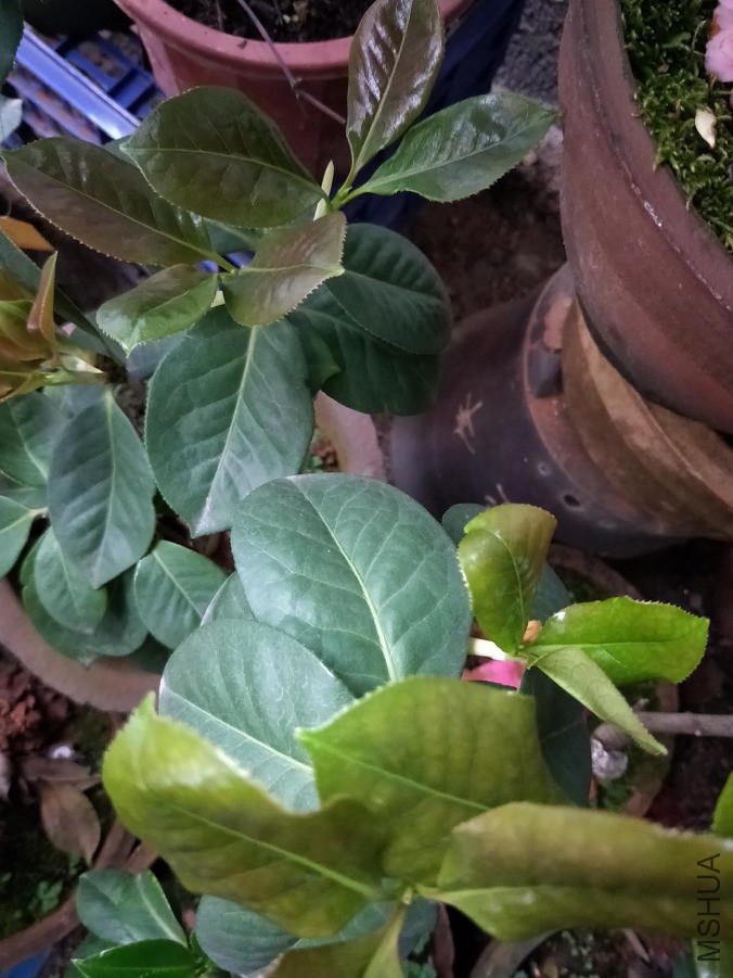 IMG20190421174930.jpg
