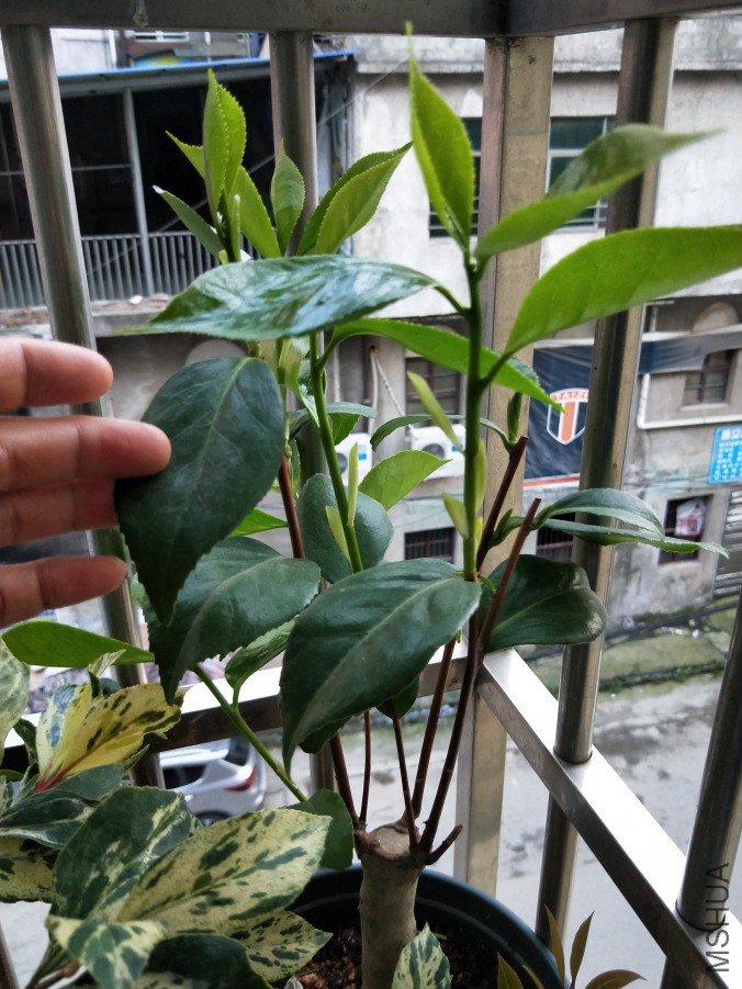 IMG20190419184031.jpg