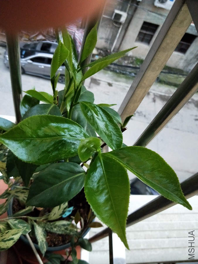 IMG20190419184035.jpg