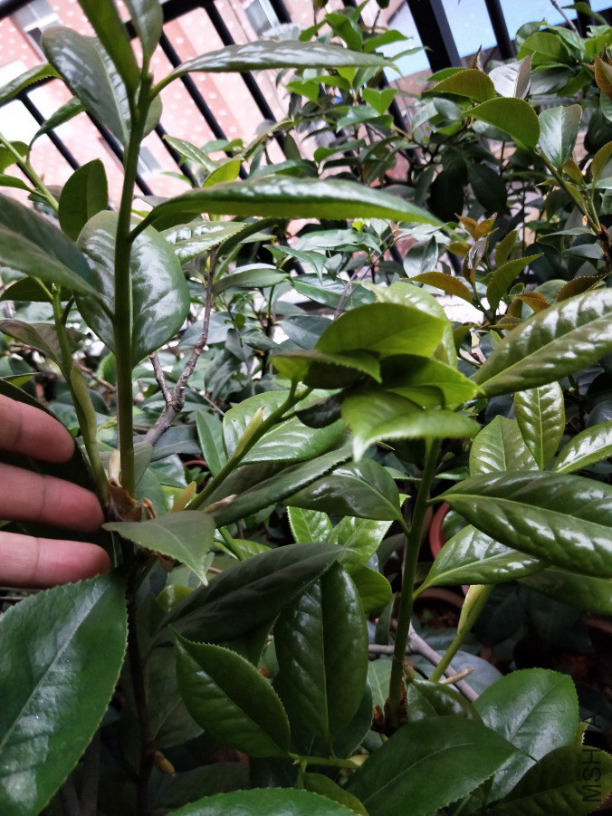 IMG20190421175107.jpg