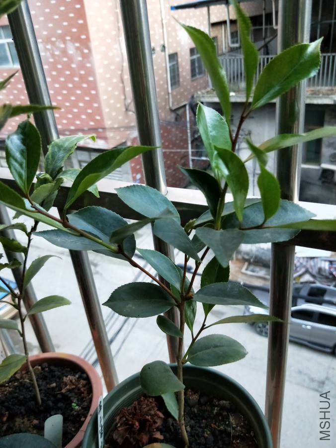 IMG20190419184043.jpg