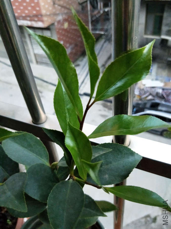 IMG20190419184046.jpg