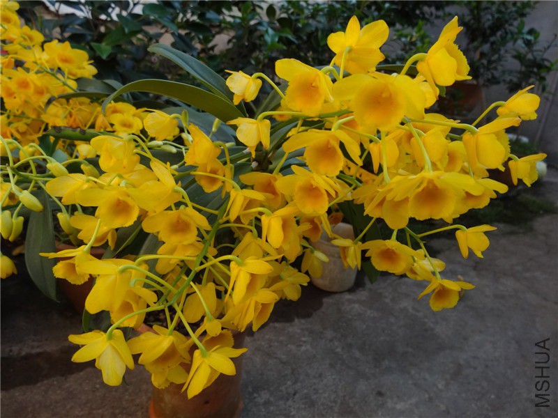 DSC04077.jpg