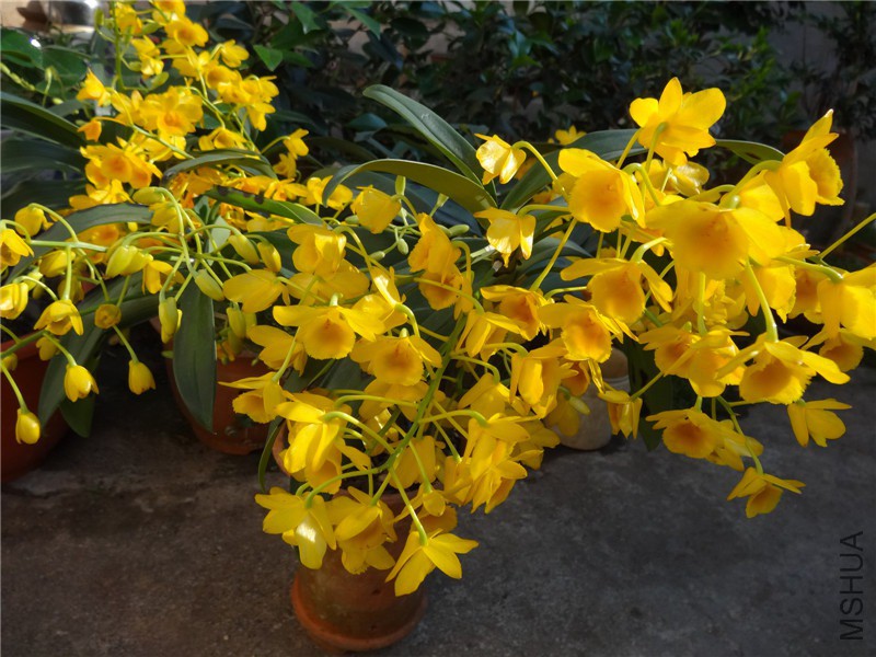 DSC04082.jpg