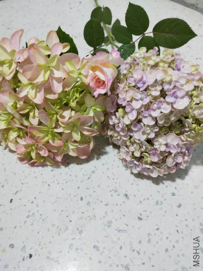 ΢��ͼƬ_20190422091517.jpg