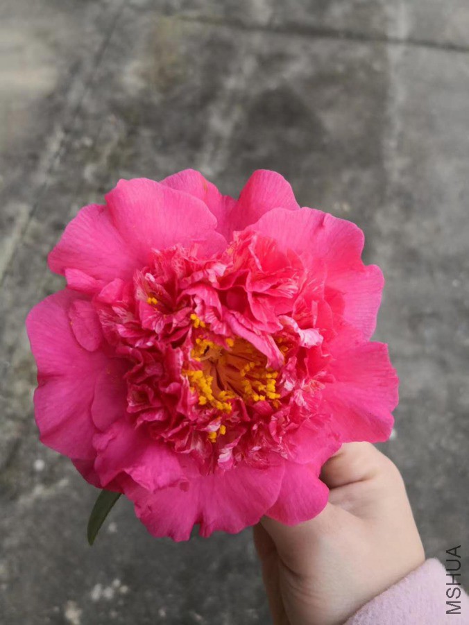 ΢��ͼƬ_20190422081317.jpg