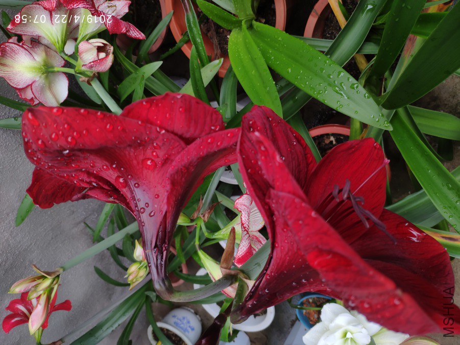 20190422_2.jpg