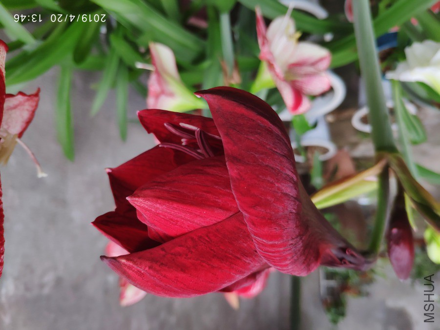 20190420_4.jpg