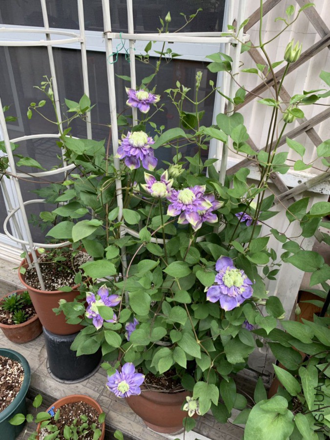 ����-20190416.jpg
