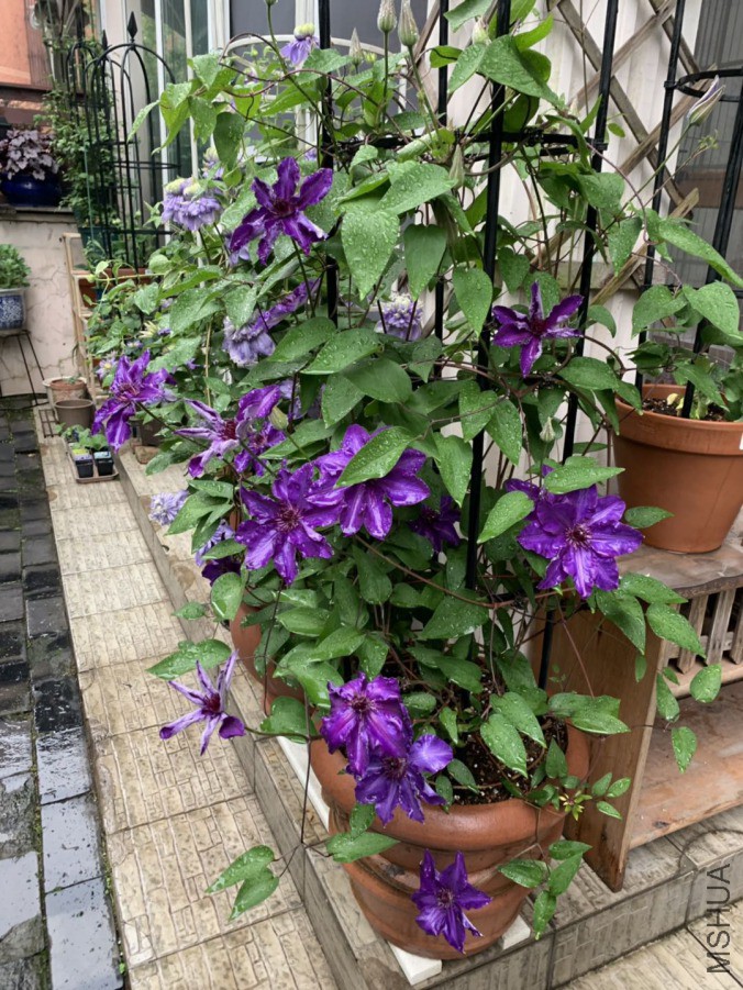 ��ͳ-20190422.jpg
