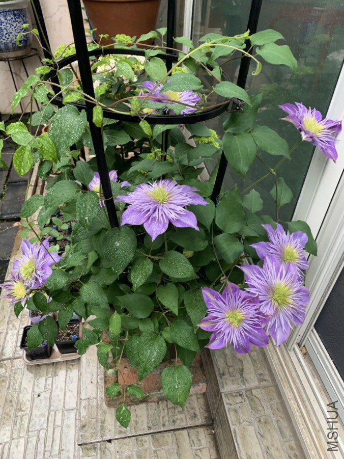 ˮ����Ȫ-20190422.jpg