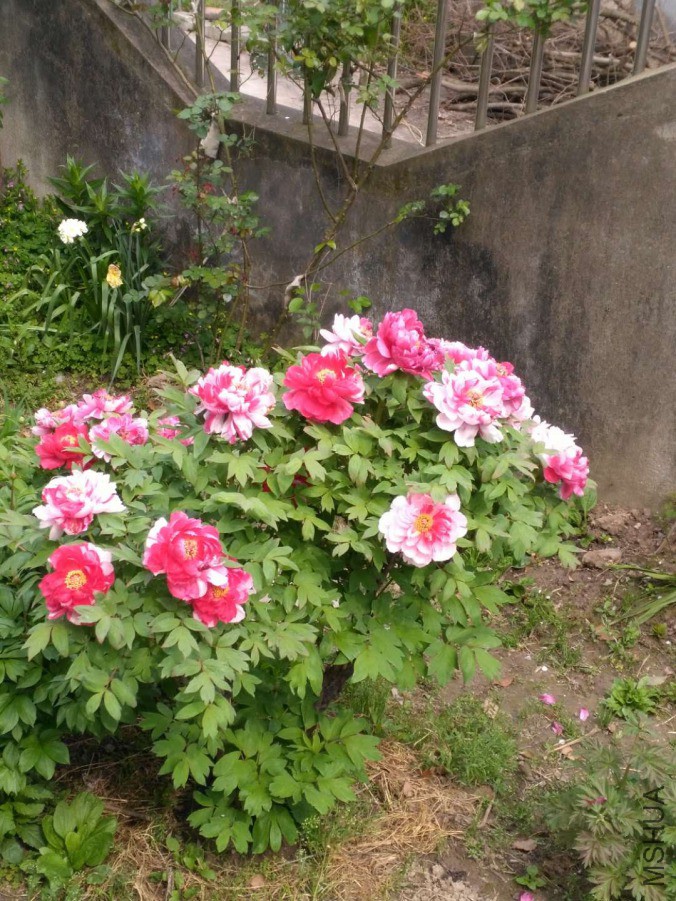 ΢��ͼƬ_20190419125553.jpg