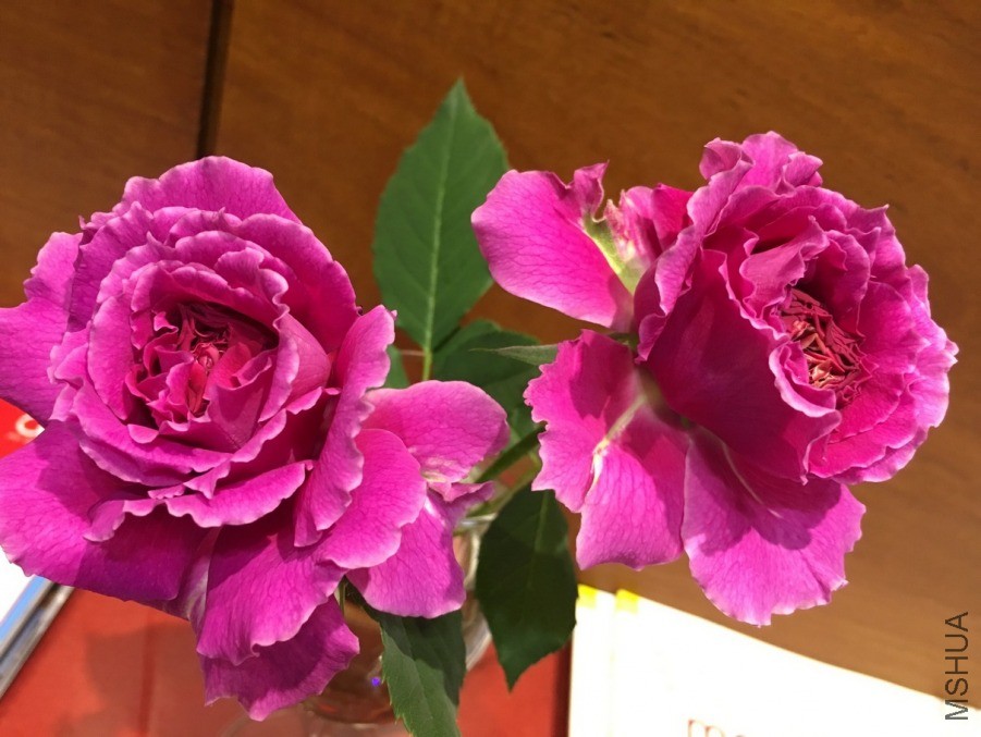 20190131_091406153_iOSs.jpg