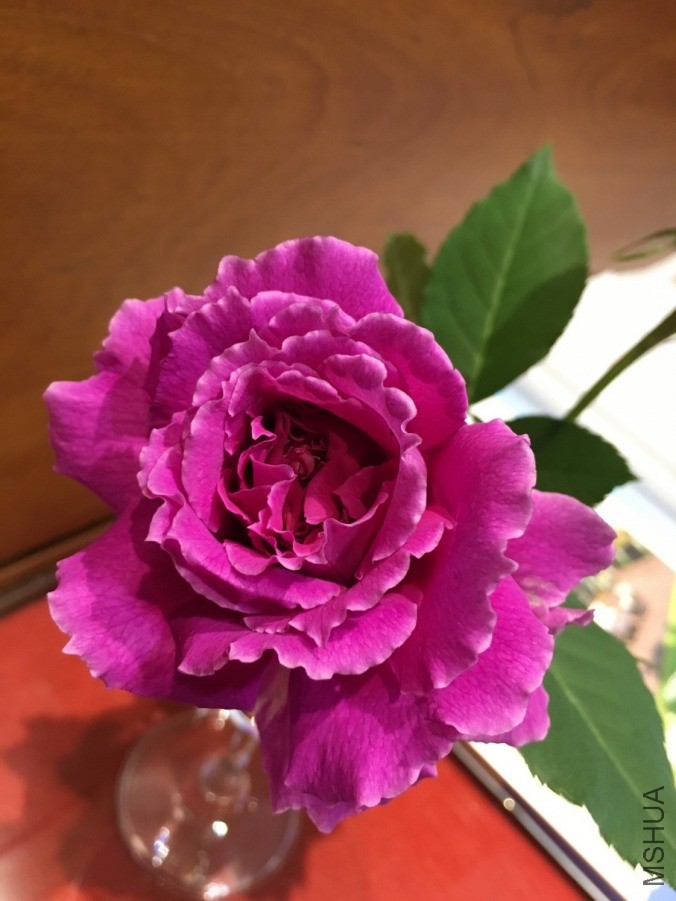 20190131_091349741_iOSs.jpg