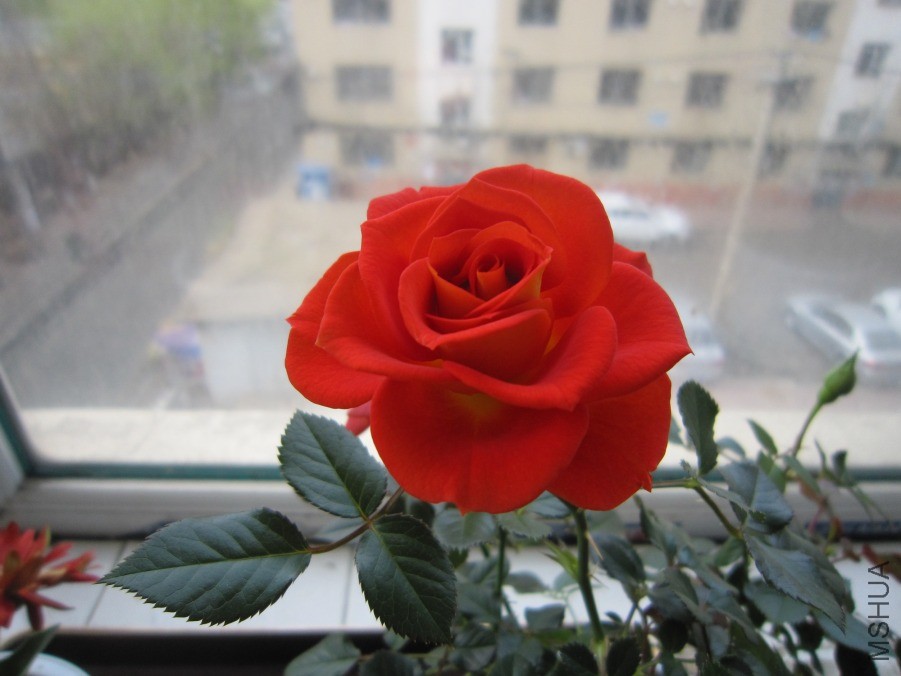 IMG_0021.JPG