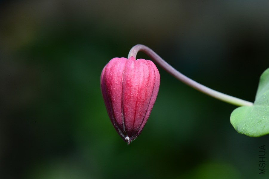 DSC_0317.JPG