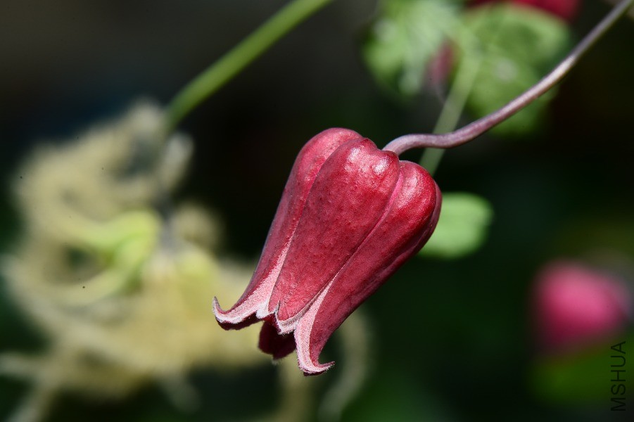 DSC_0299.JPG