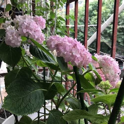 151AFE69-957E-46A7-86A5-AC918AEDABB2.jpeg