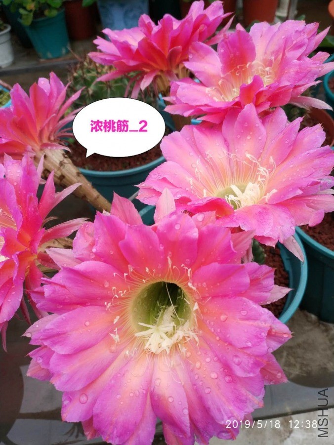 Ũ�ҽ�.11.jpg