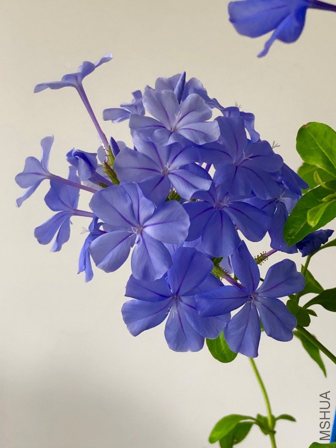 ΢��ͼƬ_20190601193457.jpg