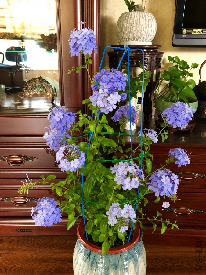 ΢��ͼƬ_20190601193610.jpg