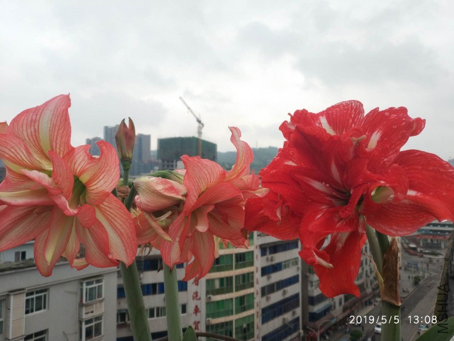 ΢��ͼƬ_20190601211903.jpg