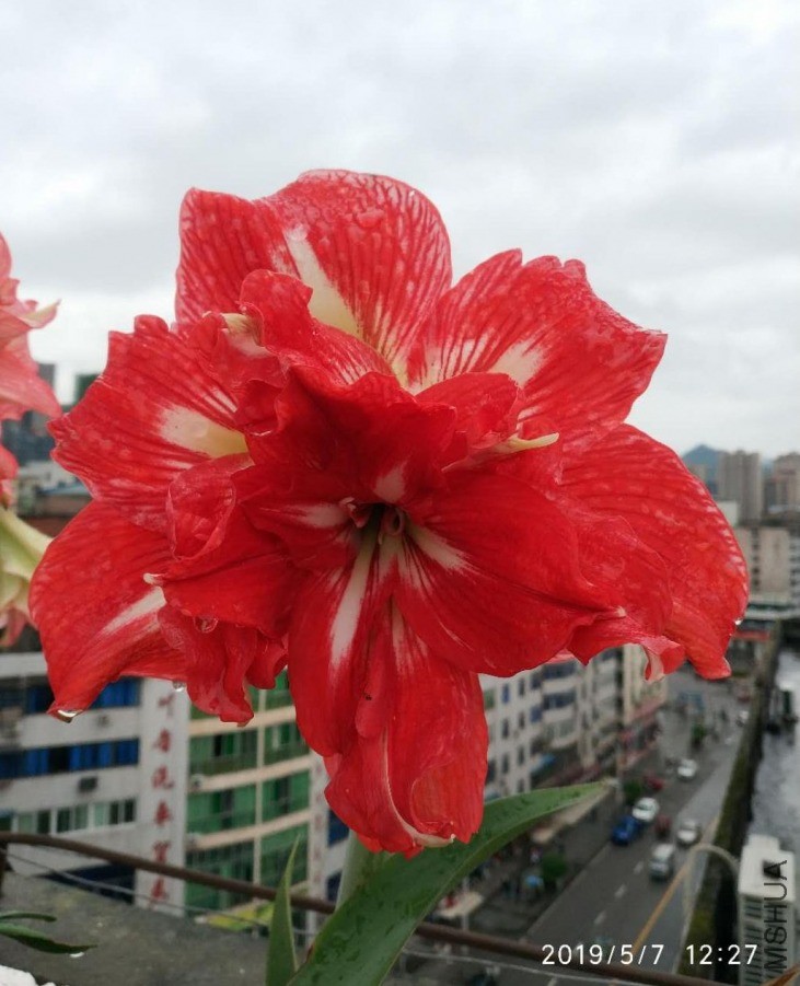 ΢��ͼƬ_20190601211920.jpg