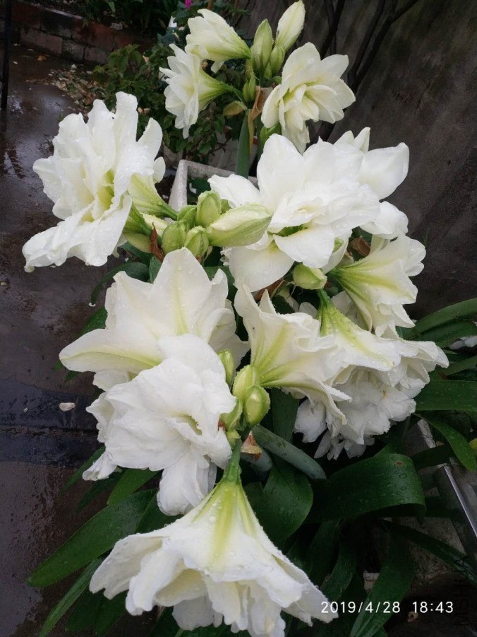΢��ͼƬ_20190601211927.jpg
