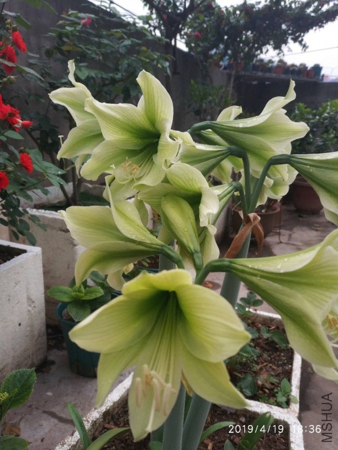 ΢��ͼƬ_20190601212011.jpg