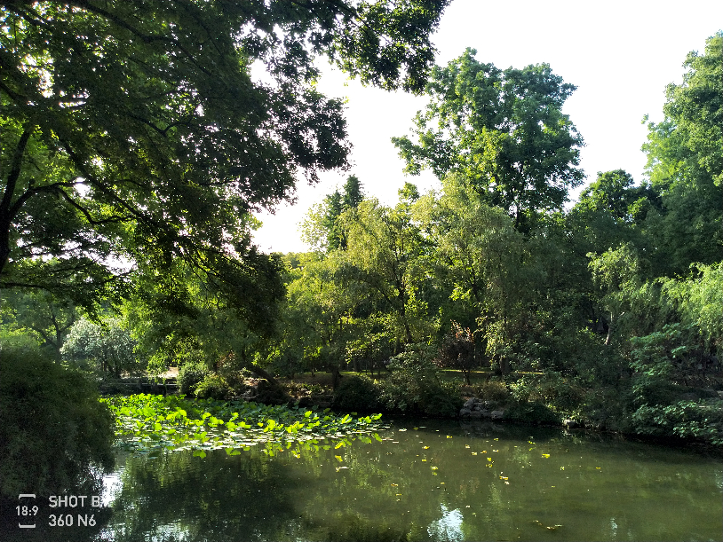 IMG_20190524_160030.jpg