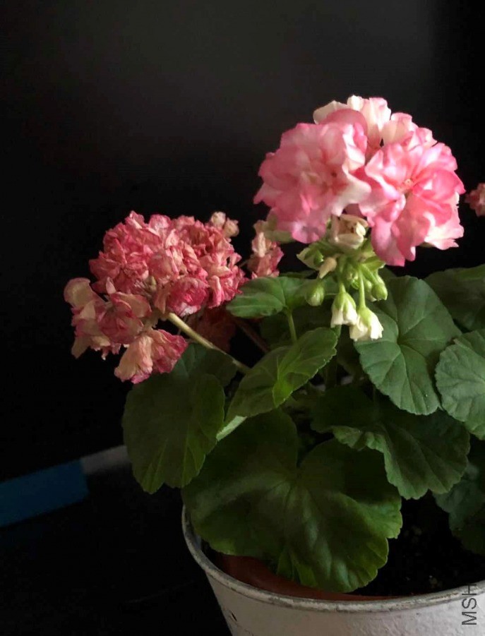 ΢��ͼƬ_20190604125839.jpg