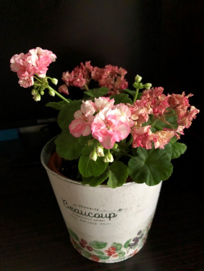 ΢��ͼƬ_20190604130147.jpg