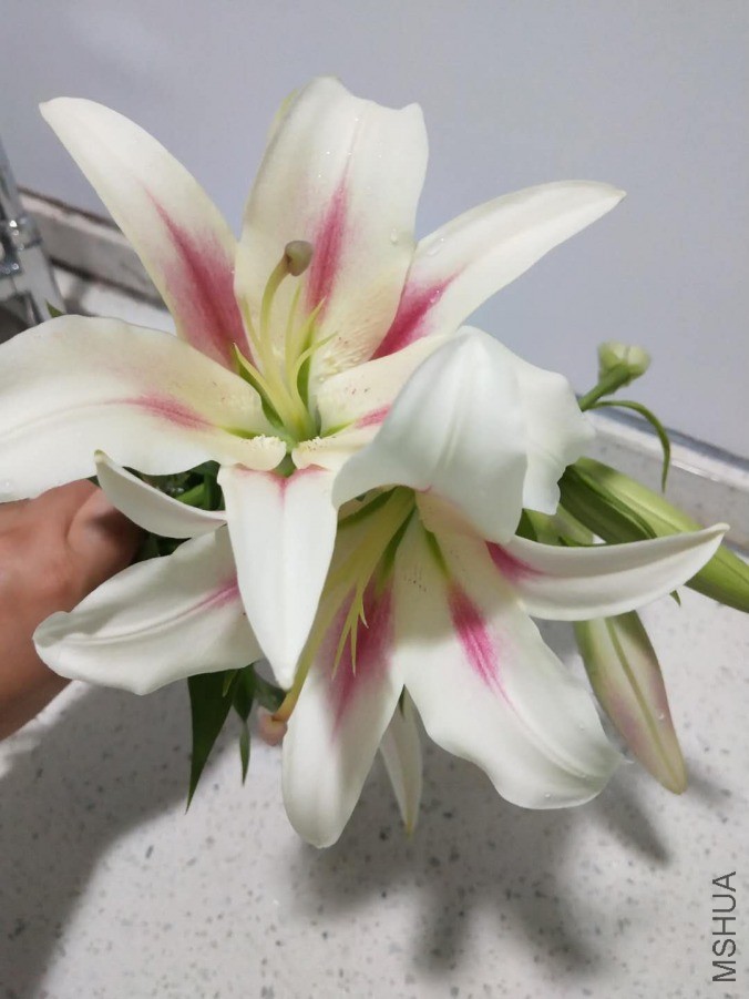 ΢��ͼƬ_20190604161051.jpg
