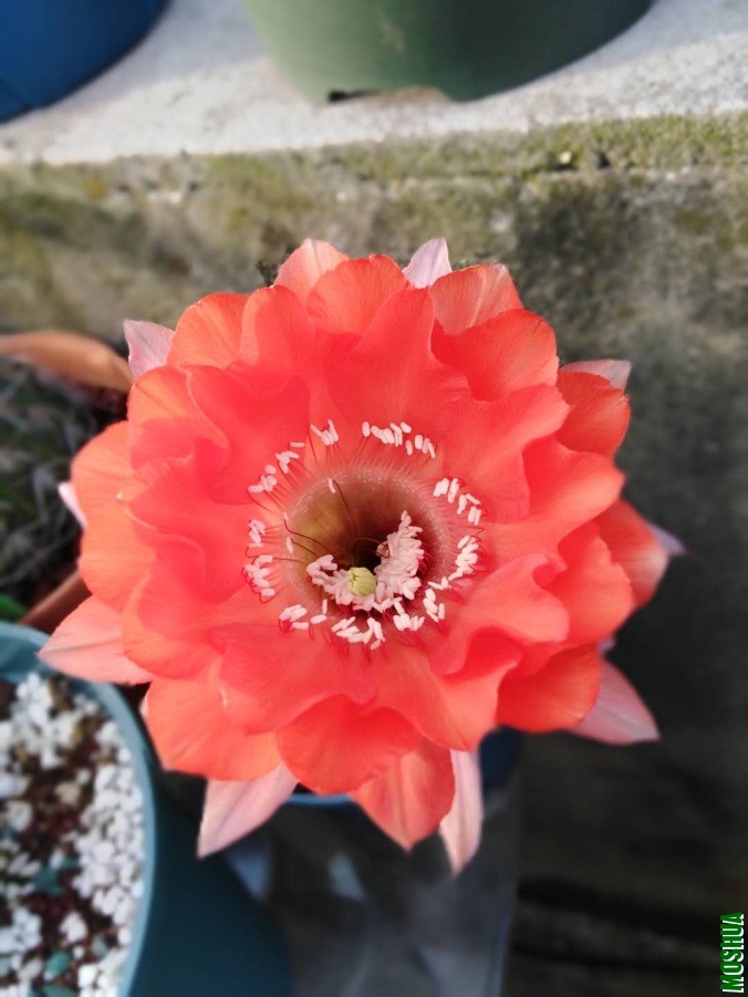 ΢��ͼƬ_2019060510370727.jpg